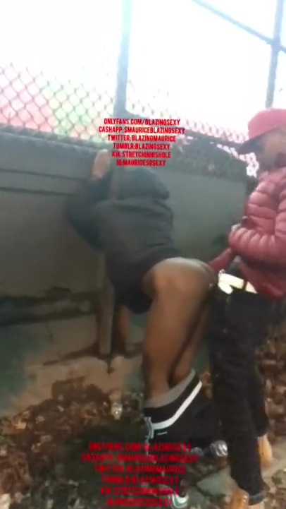 Provocateur
