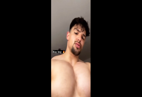 Provocateur