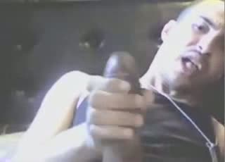 Provocateur